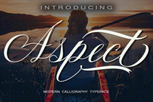 Aspect Font: Elevate Your Brand with Bold Script Typography