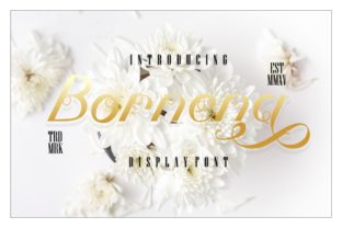 Bornena Font Review: Elevating Digital Branding