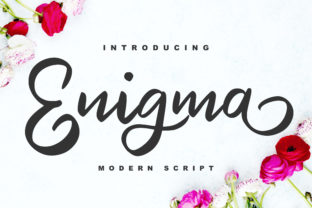 Enigma Font: A Web Designer’s Review