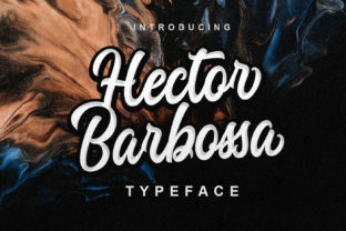 Hector Barbossa: A Casual Script Font for Web Design