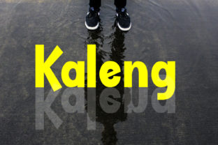 Kaleng Font Review: A Playful Typeface for Modern Web Design